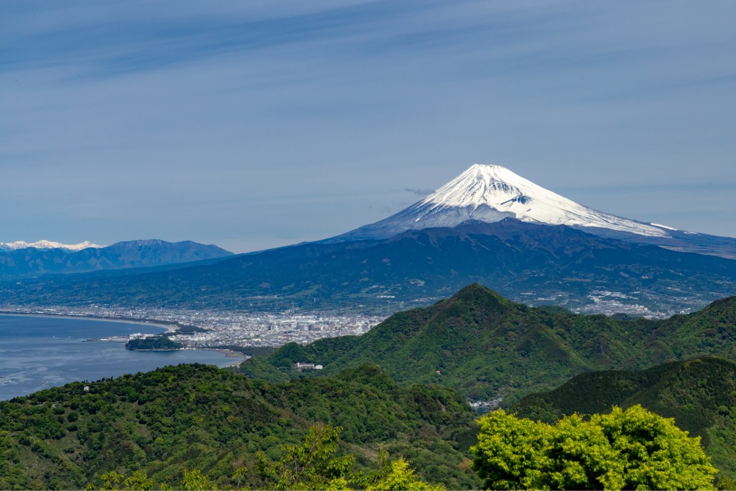 土地勘を活かした経営が自慢です!