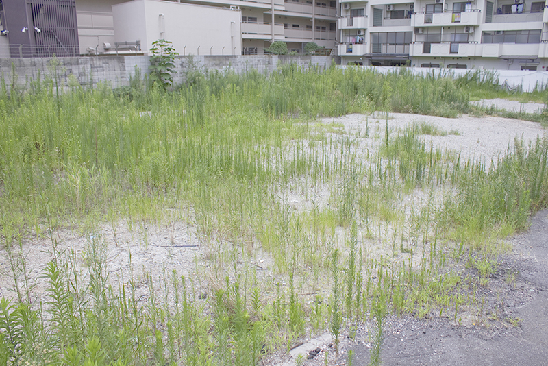 土地の評価方法